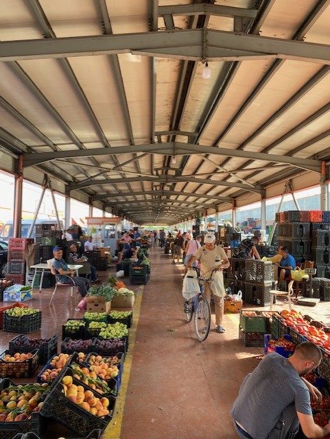 Missione Macfrut in Albania per rafforzare le filiere dell’ortofrutta su scala balcanica e&nbsp;mediterranea