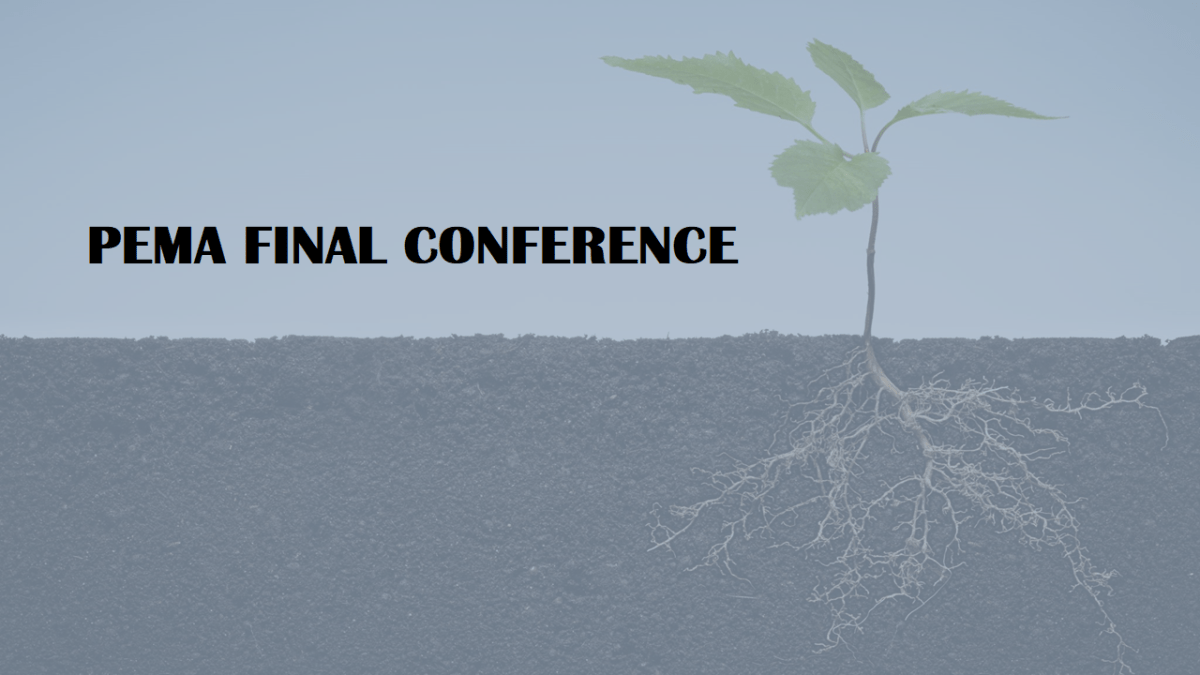 PEMA FINAL CONFERENCE: Cooperating for the skills of tomorrow in the adriatic-ionian&nbsp;region