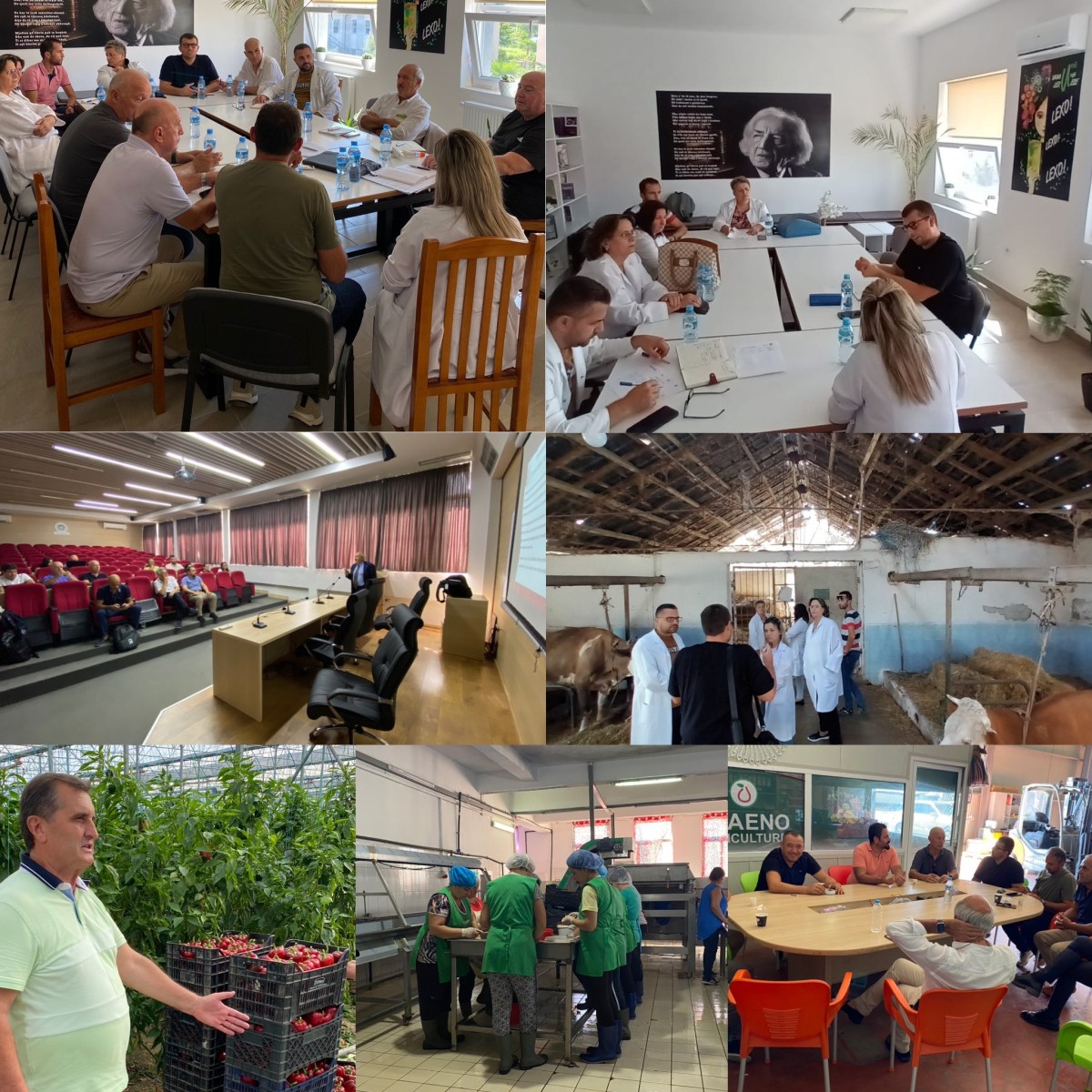 “MASTERCLASS” ON AGRIFOOD QUALITY&nbsp;MANAGEMENT