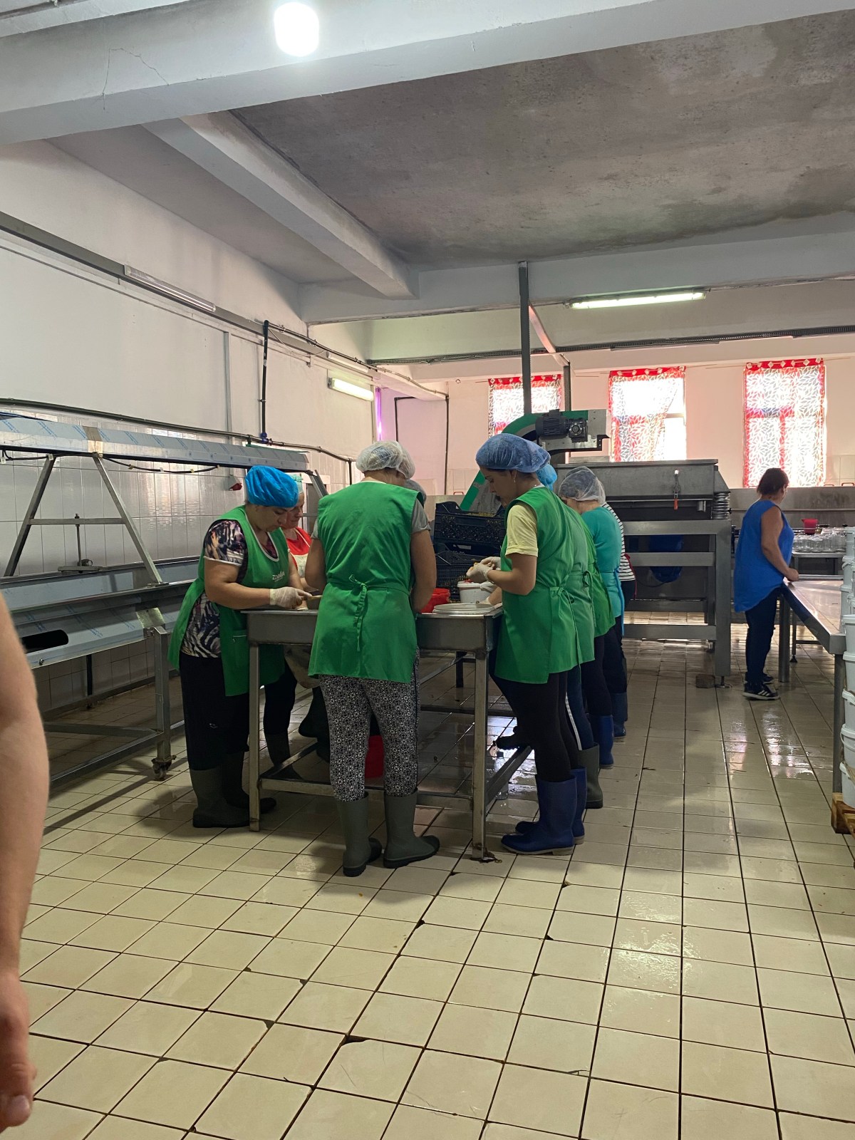 A new agriculture postsecondary vet path for quality manager in fruits and vegetables value chain in&nbsp;Albania